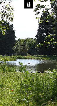 Image: Pickwick Estate Video