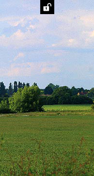 Image: Pickwick Setting Video